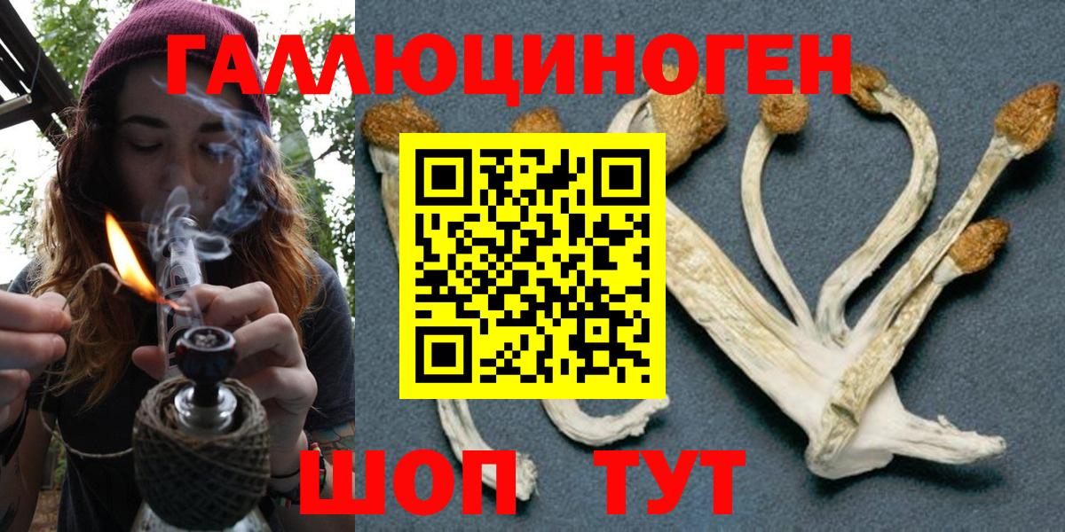 Галлюциногенные грибы Magic Shrooms Лабинск